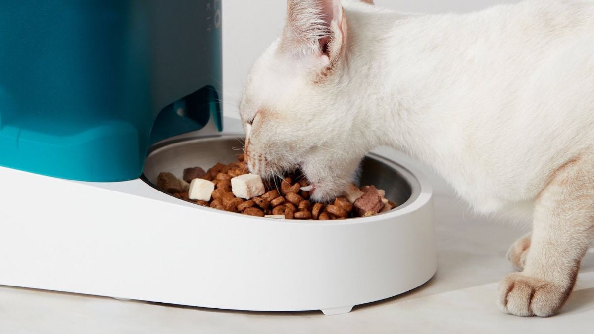 petkit-eversweet-su-pinari-temizleme-kiti-petkit-turkiye-garantili-firsat-kurdu