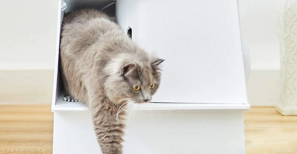 petkit-whitevilla-ev-kedi-tuvaleti-petkit-turkiye-garantili-firsat-kurdu