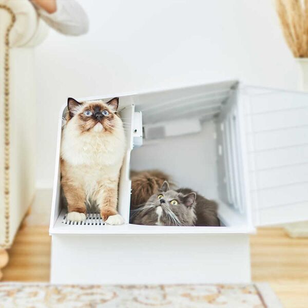 Petkit Whitevilla Ev Kedi Tuvaleti (Petkit Türkiye Garantili)