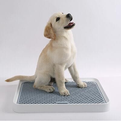 Petkit Köpek Tuvalet Eğitim Seti (Petkit Türkiye Garantili)