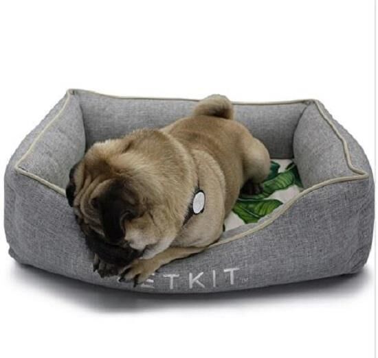 Petkit Serinletici Evcil Hayvan Yatağı Gri (Small)